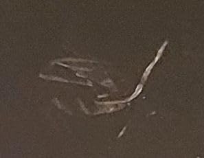 Image #1 from AJ Online